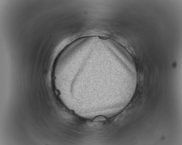 X0000100400340200807032019