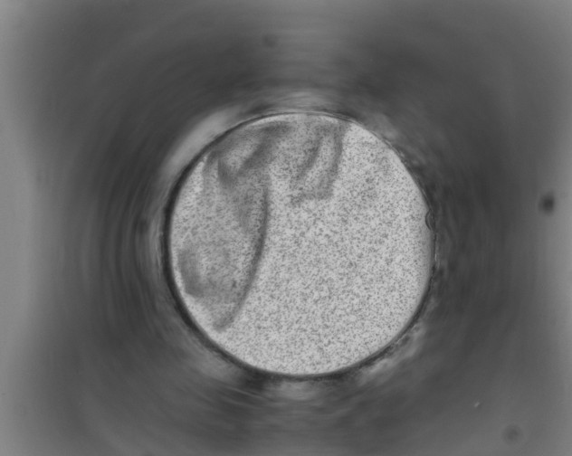 X0000100400341200807032019