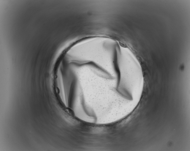 X0000100400342200807032019