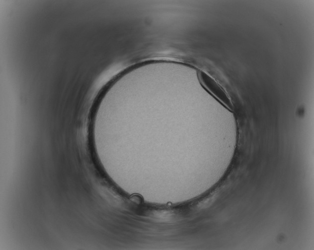 X0000100400344200807032019