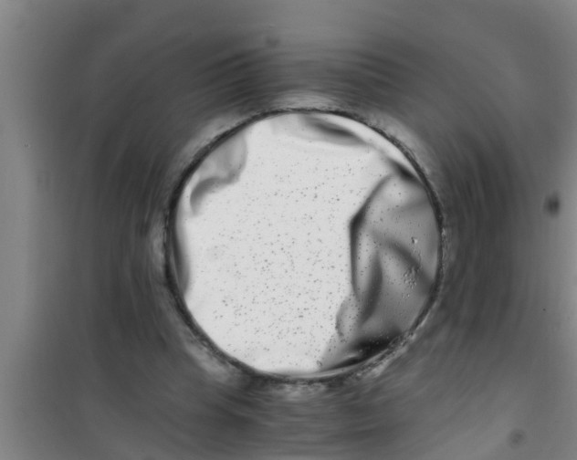 X0000100400345200807032019