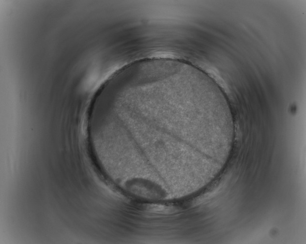 X0000100400347200807032019