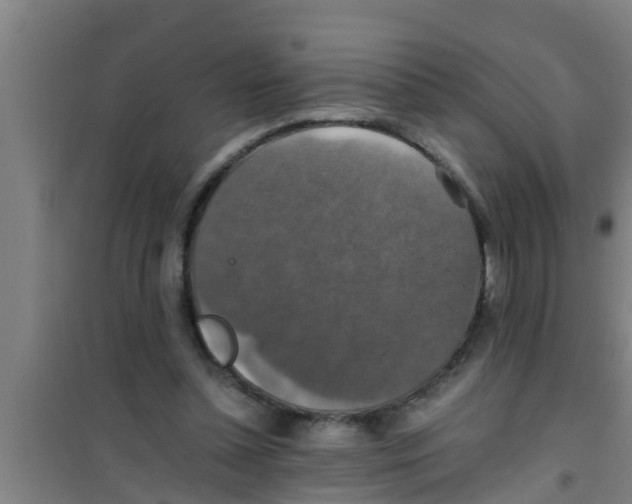 X0000100400348200807032019