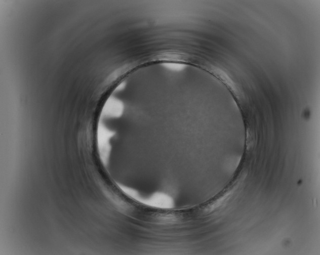 X0000100400349200807032019