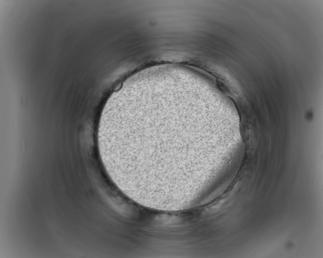 X0000100400354200807032019