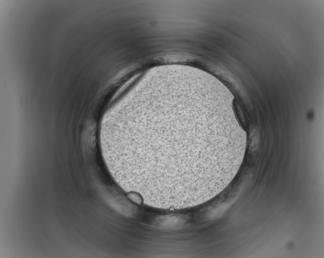 X0000100400356200807032019