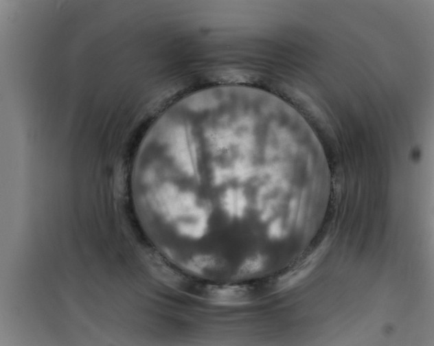 X0000100400359200807032019