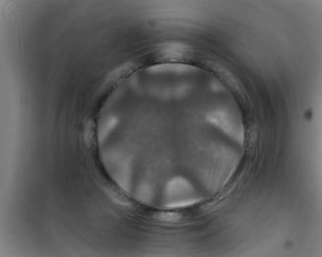 X0000100400361200807032019