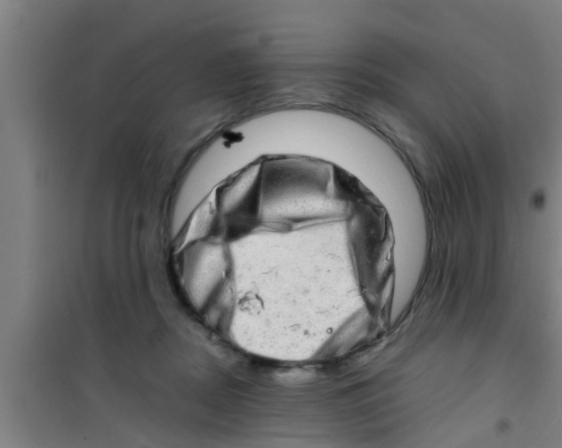 X0000100400362200807032019