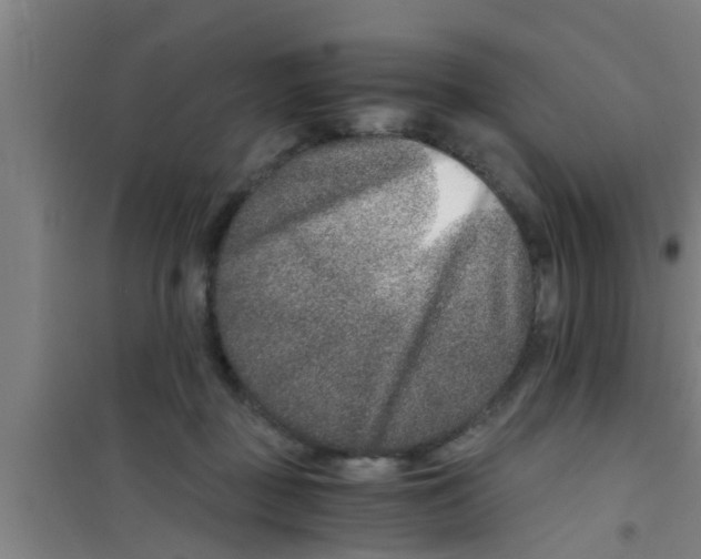 X0000100400363200807032019