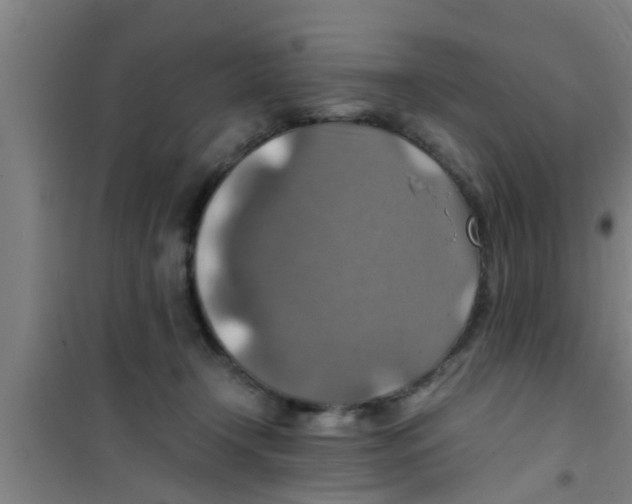 X0000100400366200807032019