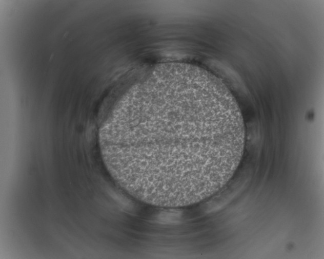 X0000100400369200807032019