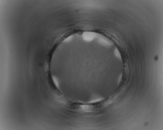 X0000100400371200807032019