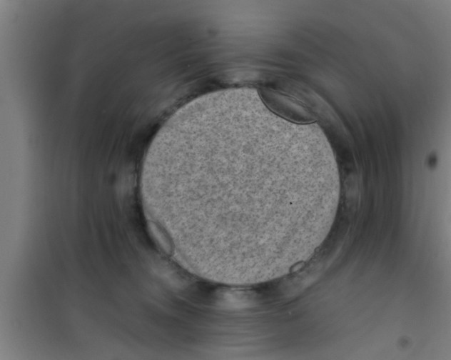 X0000100400372200807032019