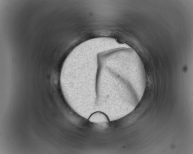 X0000100400374200807032019