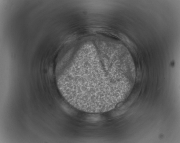 X0000100400377200807032019