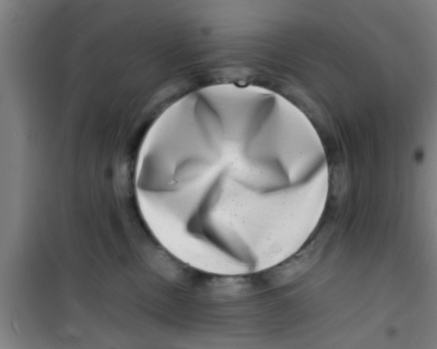 X0000100400378200807032020