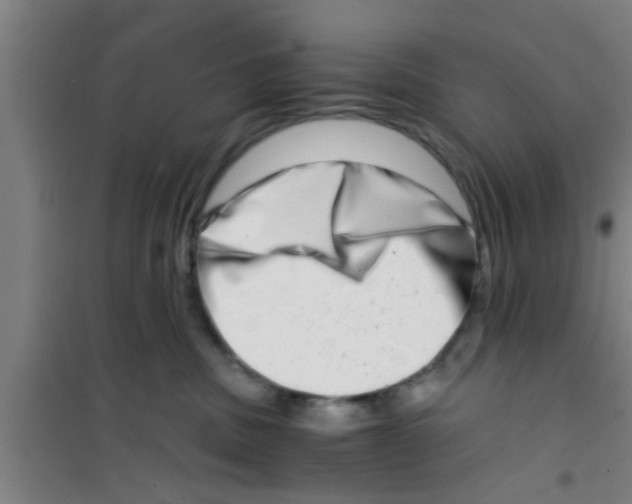 X0000100400379200807032020