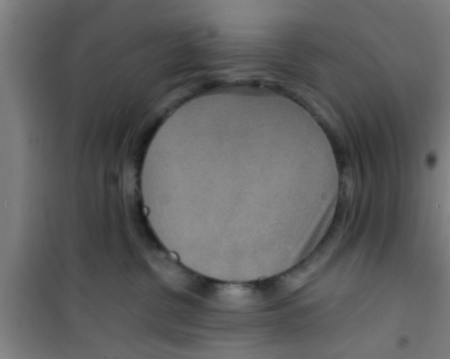 X0000100400380200807032020