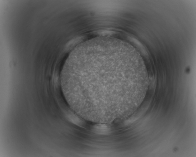 X0000100400381200807032020