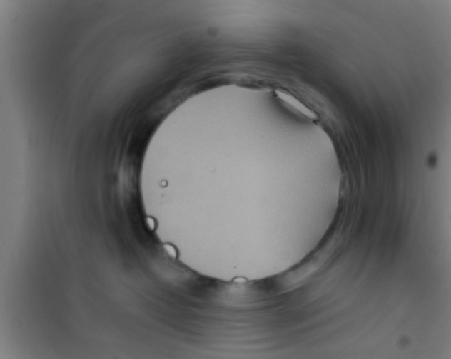 X0000100400382200807032020