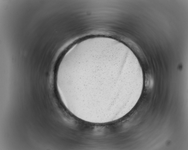 X0000100400388200807032019