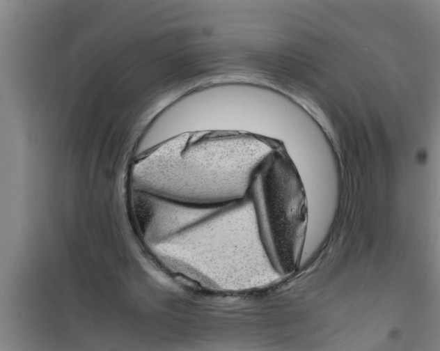 X0000100400389200807032019