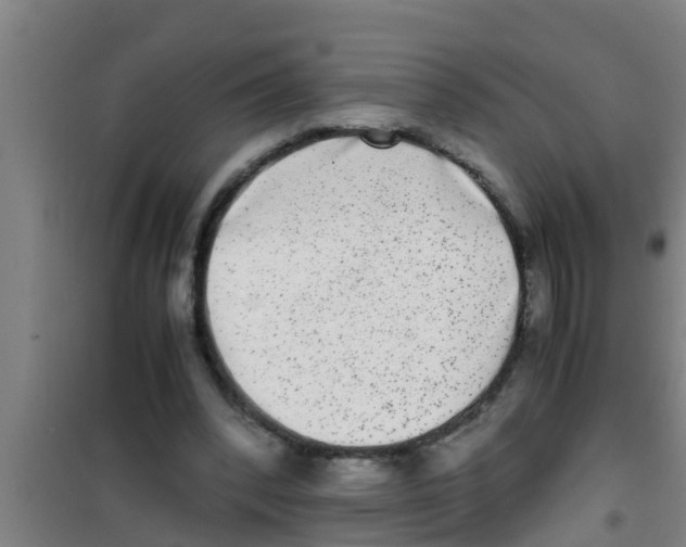 X0000100400392200807032019