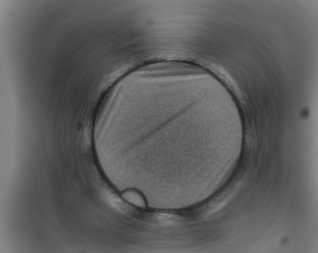 X0000100400393200807032019