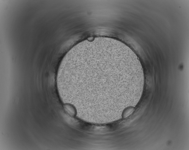 X0000100400401200807032018
