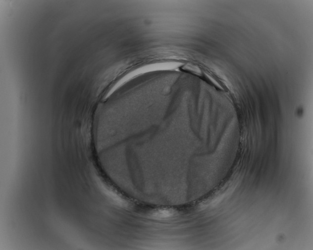 X0000100400402200807032018