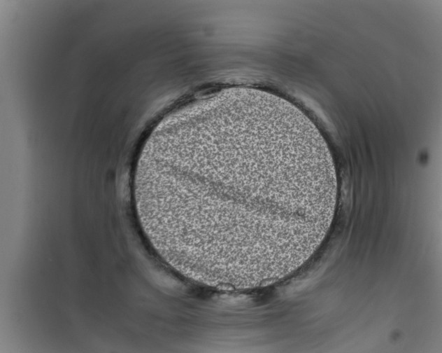X0000100400403200807032018
