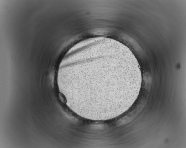 X0000100400404200807032018