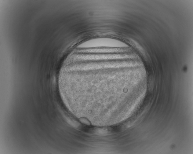 X0000100400405200807032018