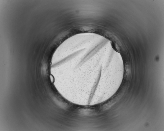 X0000100400408200807032018
