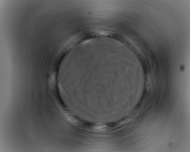 X0000100400410200807032018