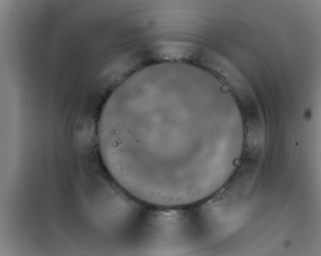 X0000100400411200807032018