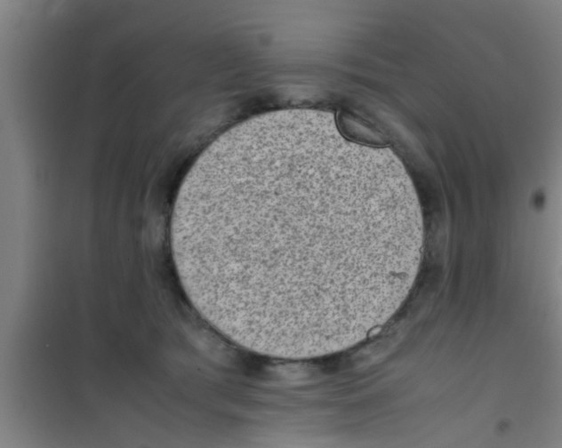 X0000100400417200807032018