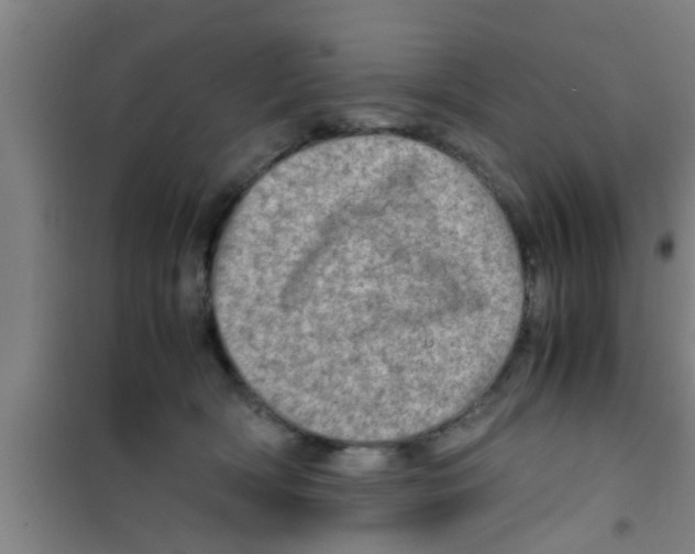 X0000100400418200807032018