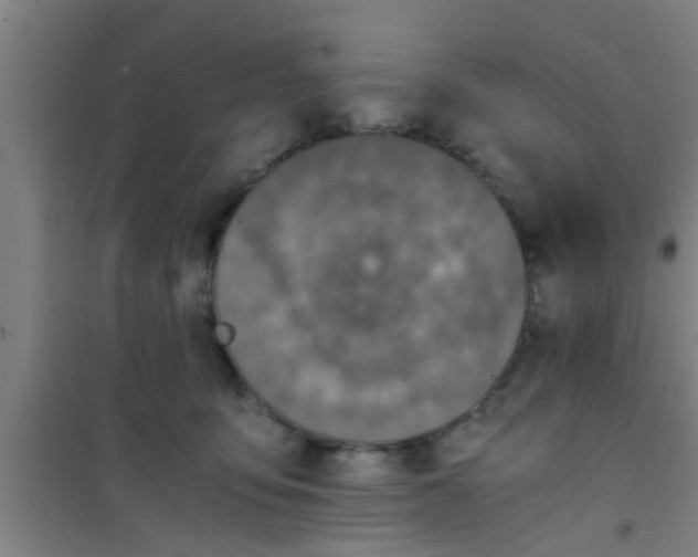 X0000100400419200807032018