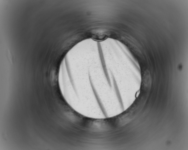 X0000100400420200807032018