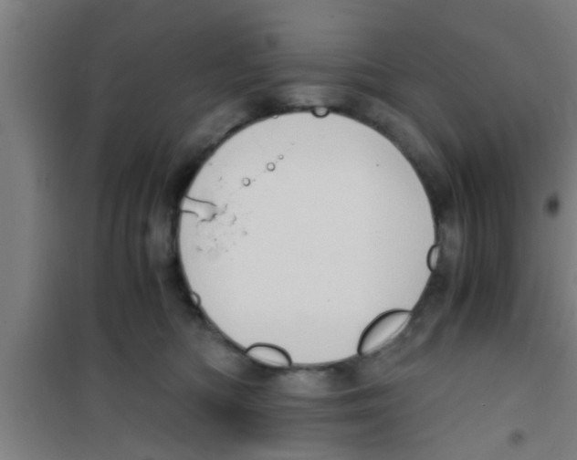 X0000100400422200807032018