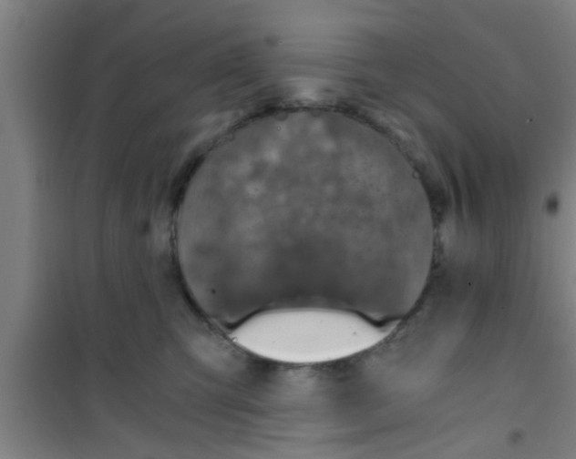 X0000100400423200807032018