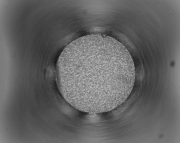 X0000100400425200807032018