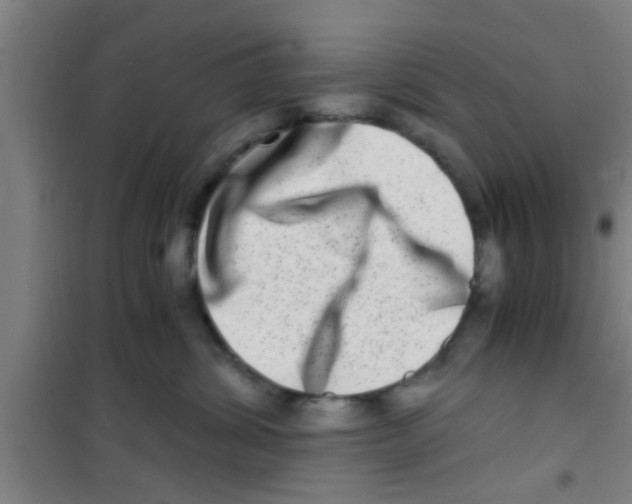 X0000100400428200807032018