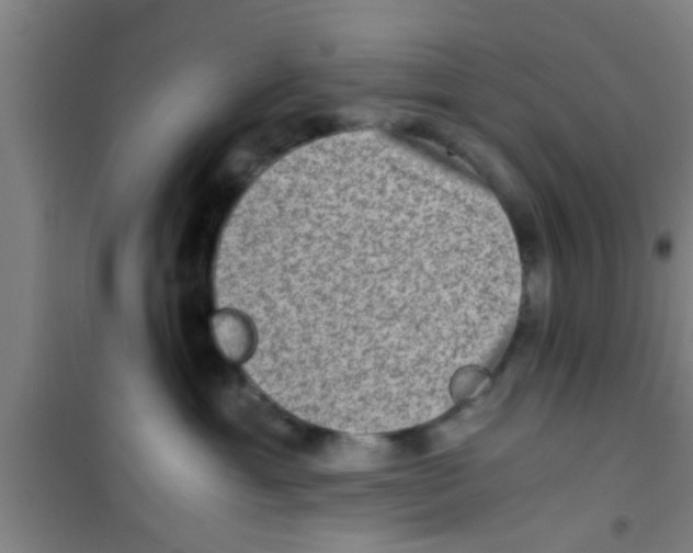 X0000100400429200807032018