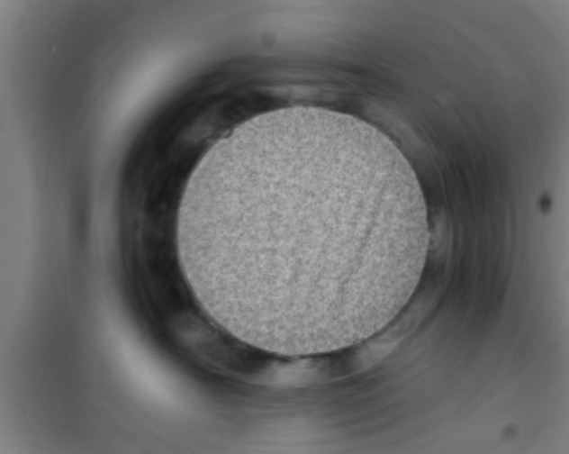 X0000100400430200807032018