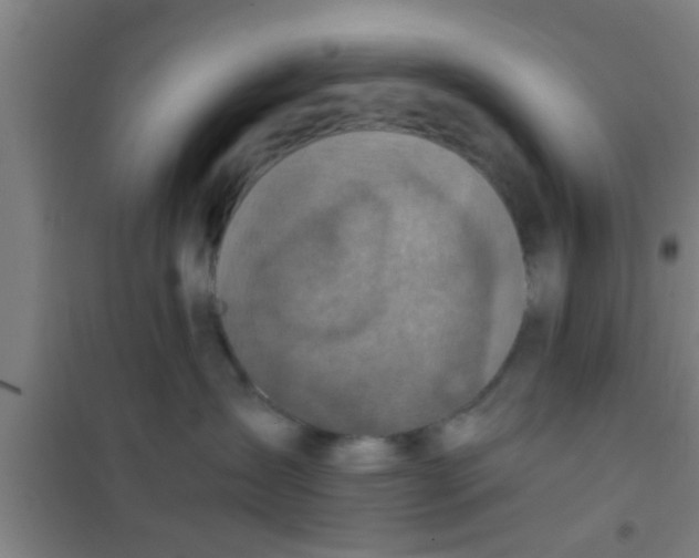 X0000100400431200807032018