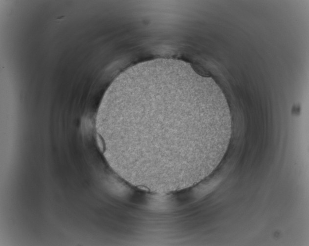 X0000100400432200807032018