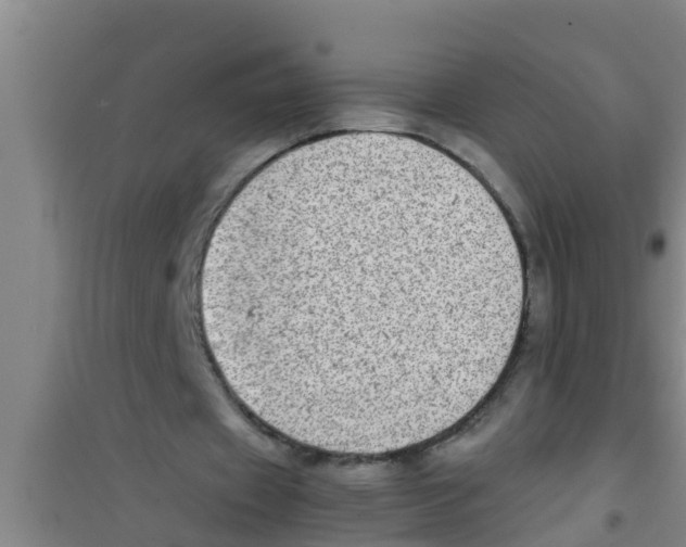 X0000100400433200807032017